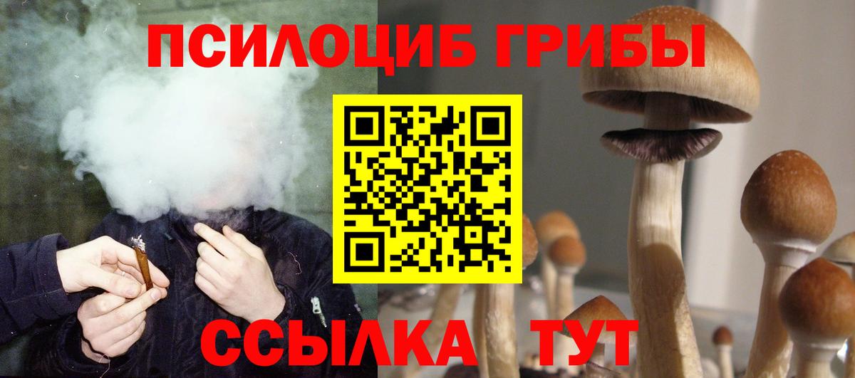 Усолье-Сибирское  Галлюциногенные грибы Psilocybine cubensis  Вход с VPN 