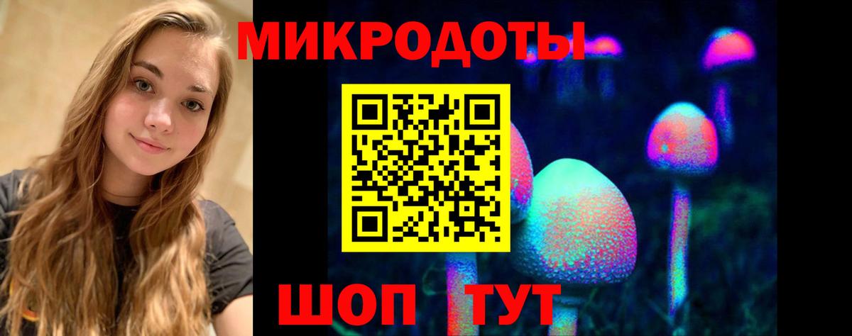 Псилоцибиновые грибы мицелий Усолье-Сибирское